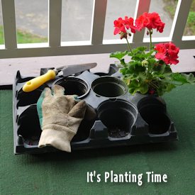 Planting Time