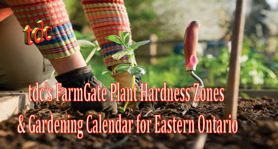 tdc's Farmgate Plant Hardiness Zones & Gardening Calendar for Eastern Ontario