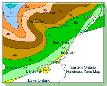 Eastern Ontario Hardiness Zone Map
